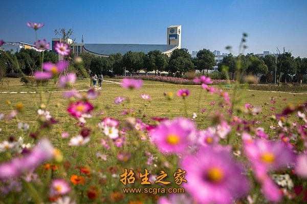 全院教职工近800人