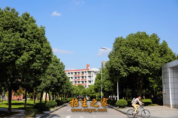 郁郁葱葱