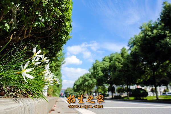 公开的原则