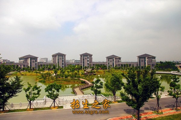 坚持就业导向