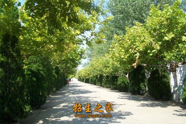 坚持“崇知