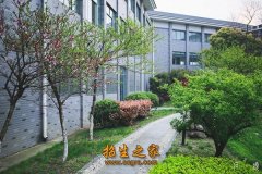 财务管理