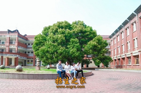 1995年4月由原澳门永利平台成为巴
