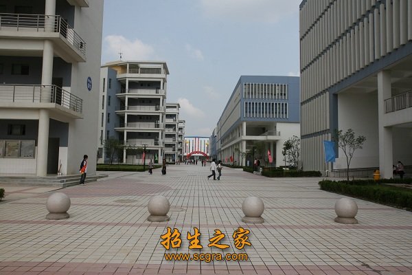 2004年