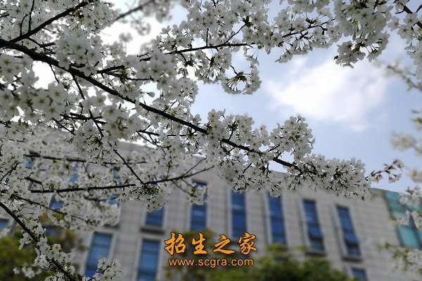 艺术设计