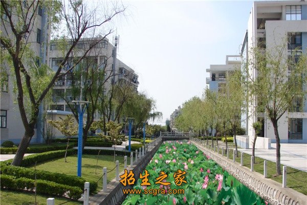 技能竞赛奖