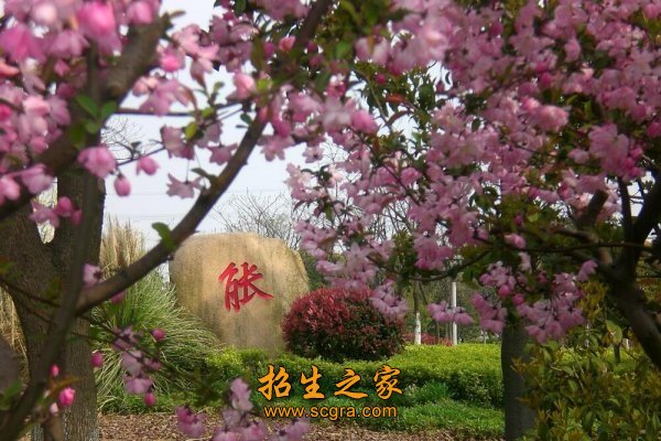 是澳门永利平台官网规则须知示范性(骨