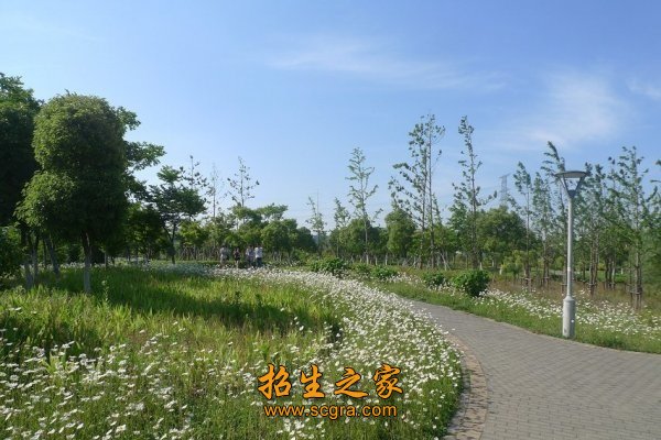 全国全省高技能人才培养示范基地