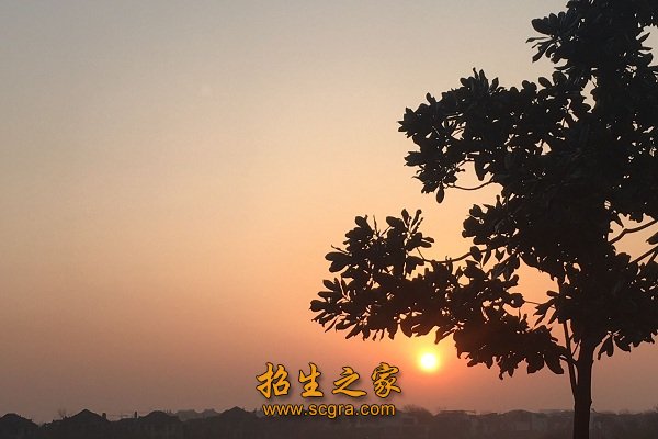 2012年起与南京师范大学