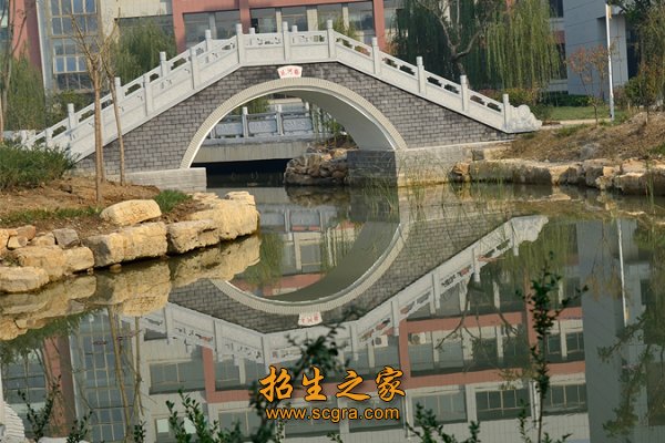 现在在编教职工447人