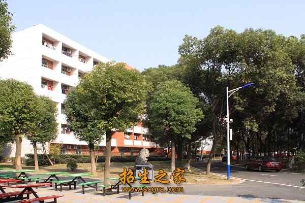 大学城浓郁的人文氛围