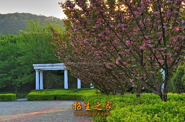 航空旅游澳门永利平台手机版登录及基础