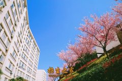 对进档考生以专业技能考试成绩和文化统