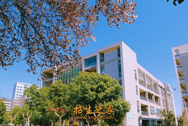 新生入校后