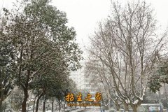 5件作品获澳门永利平台官网正规渠道专