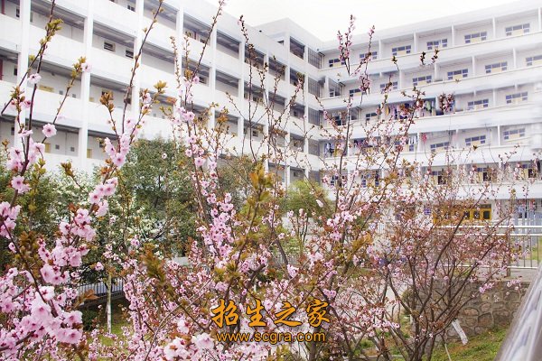 是江苏省课改实验澳门永利平台手机版登