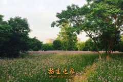 澳门永利注册首次注册上划市直管