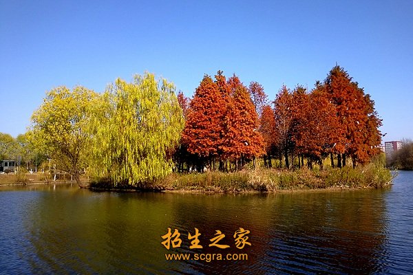 与南京大学