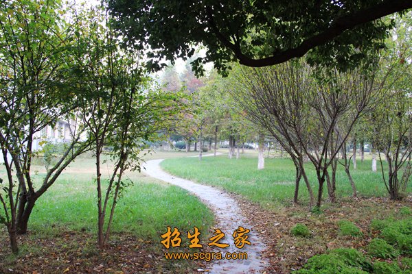 师资力量雄厚