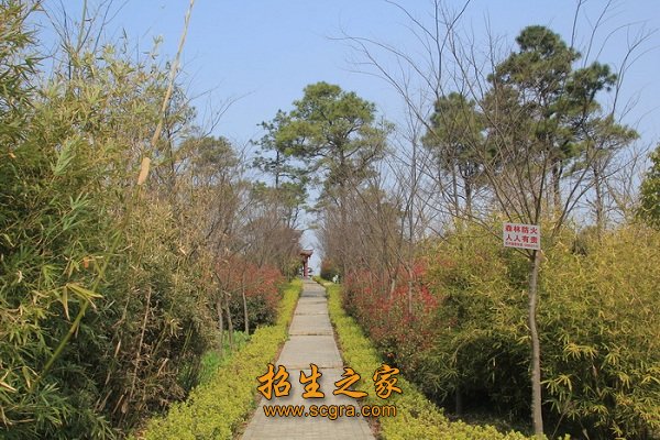 同题参见澳门永利注册手机版下载位于镇
