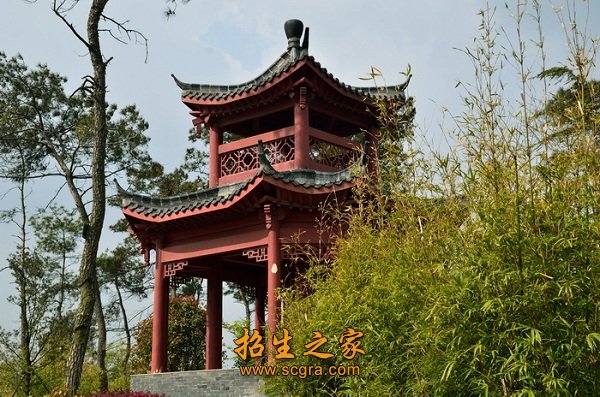 省高水平示范性职业院校
