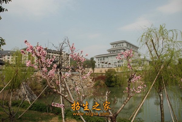 专业建校