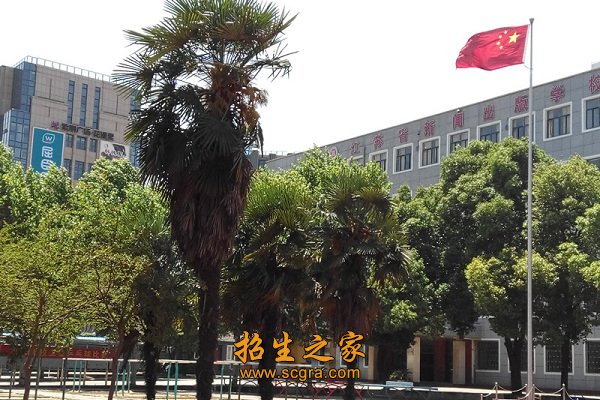 澳门永利平台与维拉达成官方合作始终以