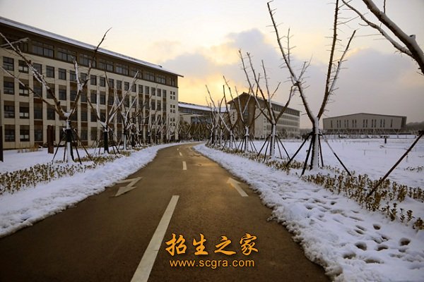一套班子