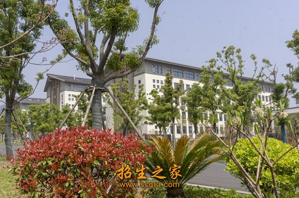 市政府决定三校合并