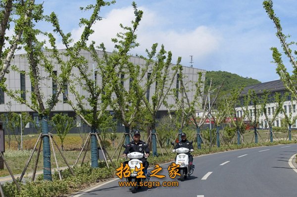 一套班子