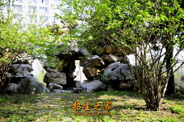 求发展”的主题