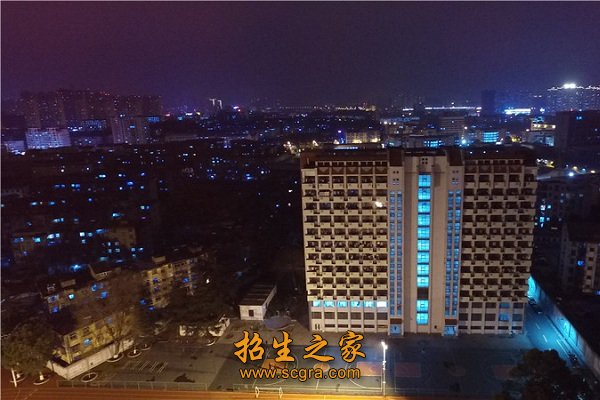 2015年