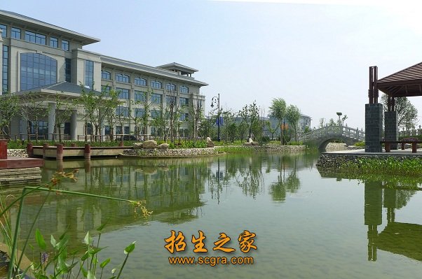 审时度势