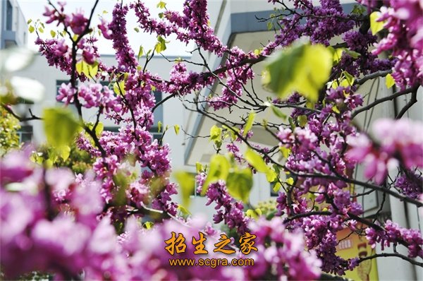 京杭大运河等穿境而过