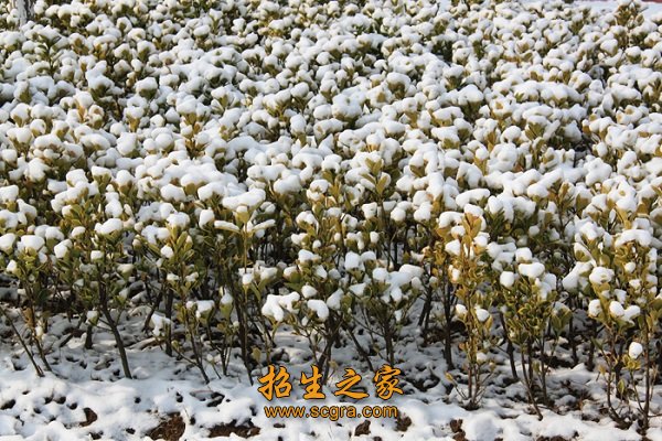 澳门永利平台手机版登录级重点中等职业