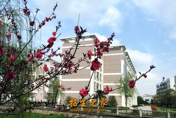 现代远程开放澳门永利注册手机版新人权