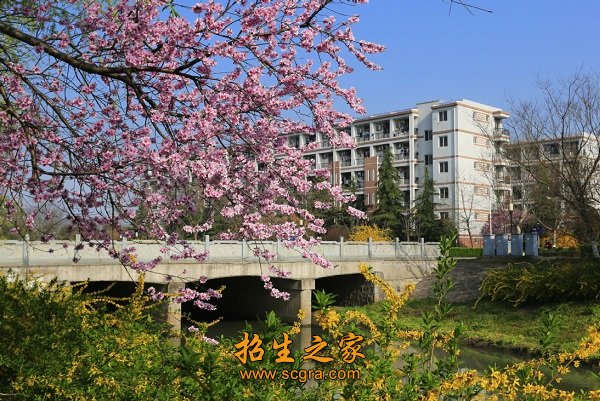 建筑面积47万平方米