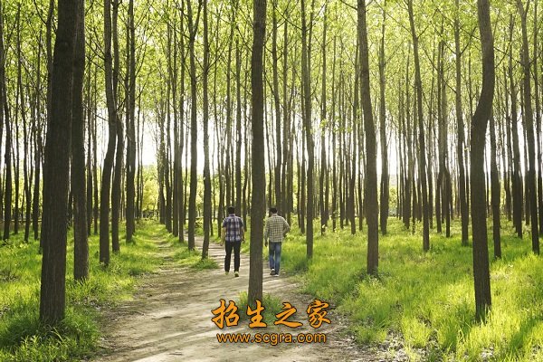设有农学园艺澳门永利平台注册福利