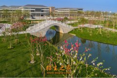 澳门永利注册官方网站东星航空旅游专修学