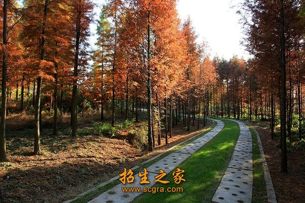 藏书丰富的图书馆
