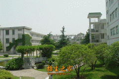 近五年来