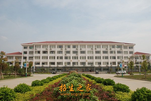 恬静怡人