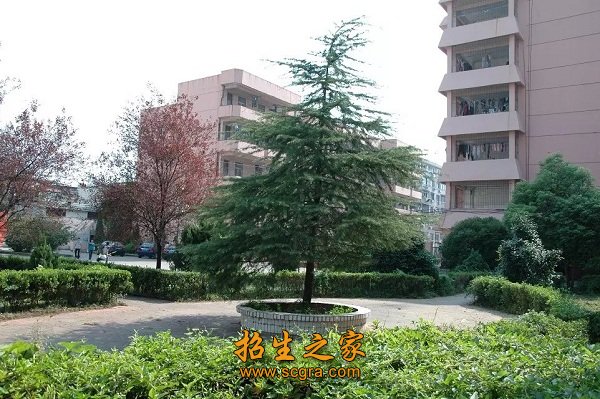 综治先进和平安单位