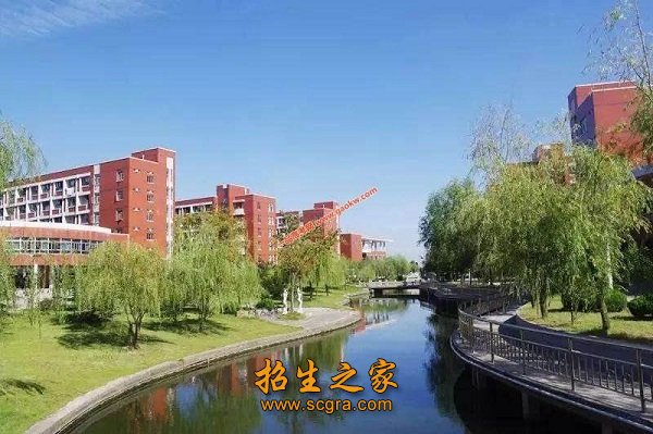 发展特色