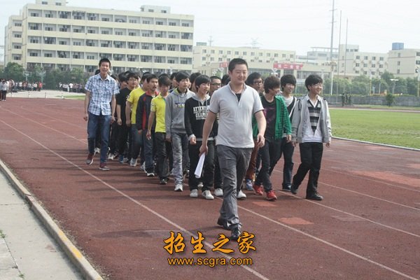 绿地草坪
