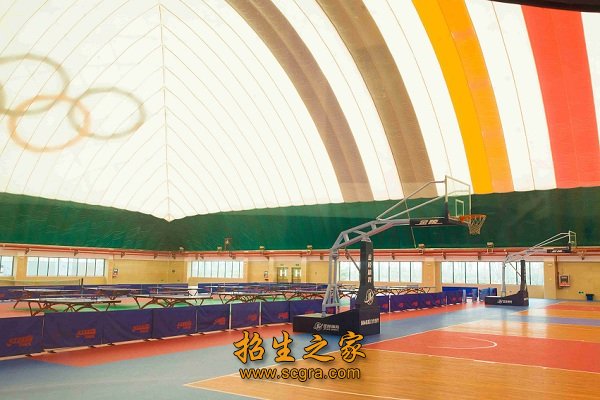假山林立