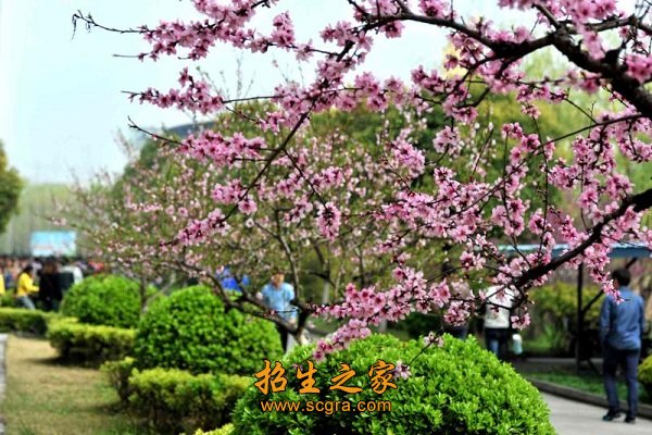 各类建筑15万余平方米