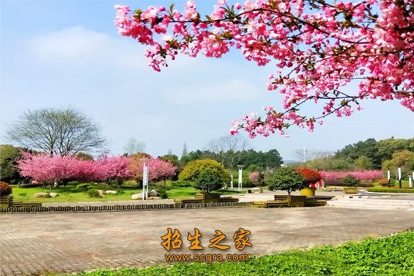 澳门永利平台官网操作说明依法制定《无