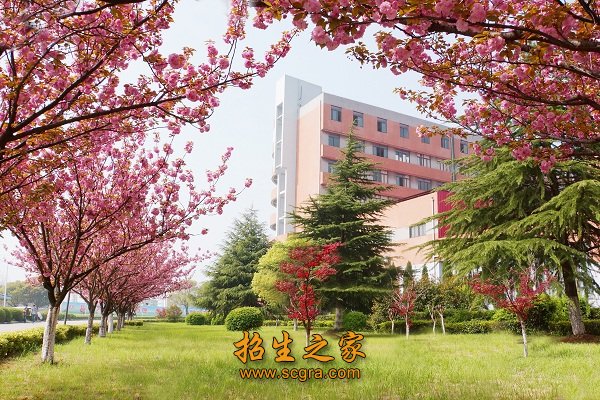 建立健全领导体制