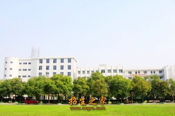 倡导“诚实